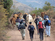 Peru-Cusco-Salkantay Trail Hike